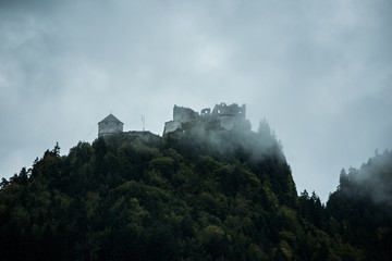moody forest landscape with fog and haze and a castle