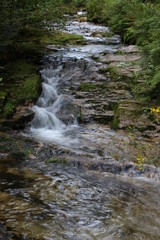 Cascada en diagonal (Selva Negra)