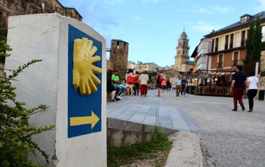 Drogowskaz wskazujący kierunek Camino de Santiago © Sebastian