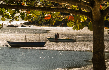 Pescador, pescaria, barco, bote, litoral, dourado, por do sol, praia