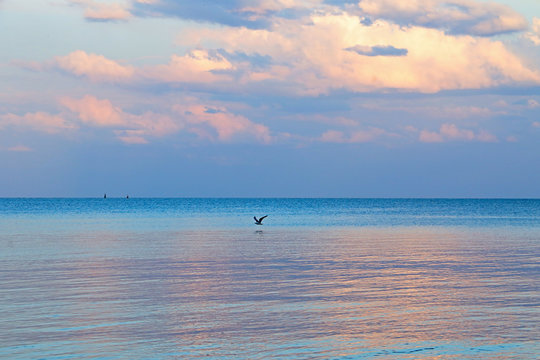 Beautiful Sea Landcsape With Flying Seagull On Background.Fluffy Clouds On The Sky.Clouds Reflection In The Water.Down Shifting Concept.