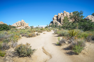 hiking the hidden valley trail in joshua tree national park, california, usa