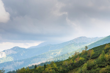Tatras Mountains covered by green pine forests, Poland