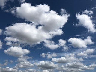 dreaming freedom in the sky