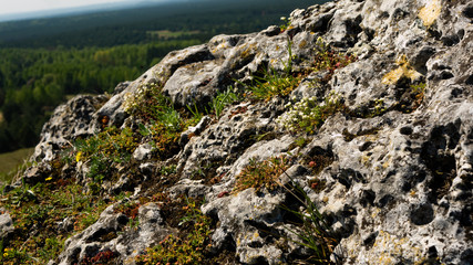 View of the Sokolich Mountains Reserve and rock stones in Olsztyn. A free space for an inscription