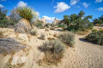 hiking the hidden valley trail in joshua tree national park, california, usa