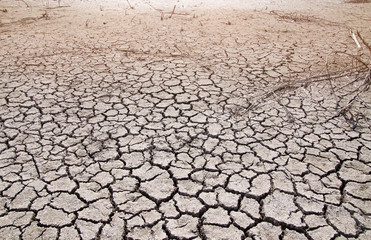 Dried clay soil with large cracks in hot weather. The dried bottom of a reservoir.