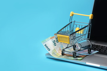 shopping cart with euro banknotes on laptop on blue background, shopping online concept.