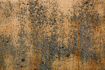 old rusty metal texture , moss on old rusty metal
