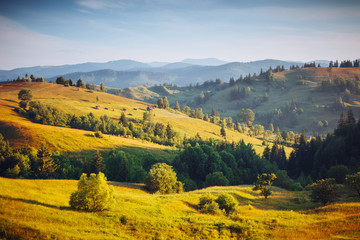 Fantastic countryside landscape in morning light. Location place Carpathian mountains, Ukraine, Europe.