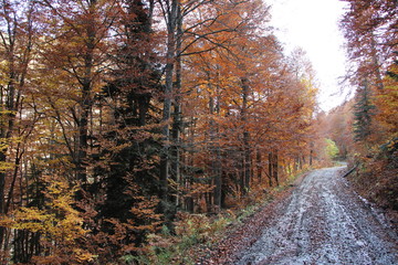 Ruta de los 3 lagos (Vielha - Cataluña)