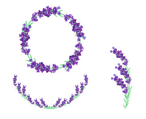 Collection lavender wreath isolated on transparent background. Bunch violet flowers.3D realistic lavender with copy space for your text. Fragrant lavender. Beautiful illustration