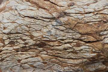 Roca o piel de dinosaurio