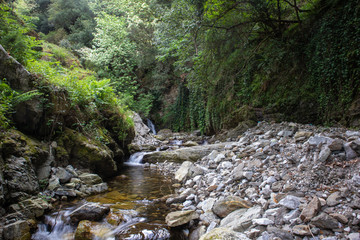 Naklejka na ściany i meble Piminoro waterfall, in the Aspromonte national park.