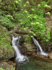 Piminoro waterfall, in the Aspromonte national park.