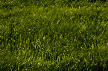 Reportage Agriculture