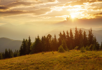 Naklejka na ściany i meble Picturesque sunset in the alpine highlands. Location place Carpathian mountains, Ukraine, Europe.