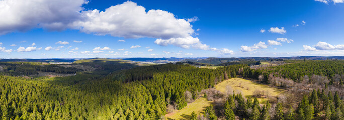 Fototapeta na wymiar german forest landscape high definition panorama