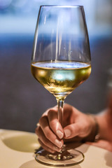 woman hand holding a glass of white wine