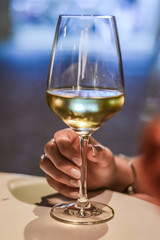 woman hand holding a glass of white wine
