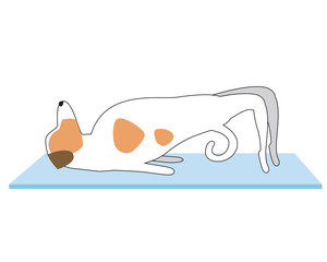 Jack Russell Terrier demonstrates asanas as a concept of yoga, flat and outline vector stock illustration with dog or character on mat