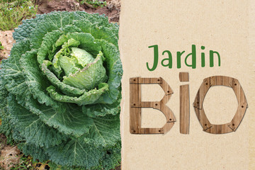 Jardin Bio, jardin potager, agriculture biologique