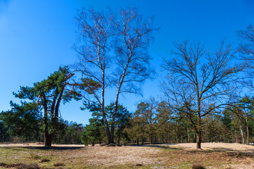 Landscape at Den Treek near Amersfoort, Netherlands
