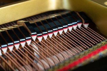 Grand Piano - Piano action, dampers, strings and hammers