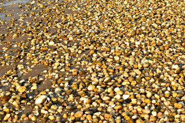 Pebble Beach1
