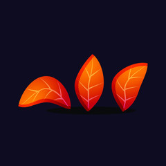 A colorful plant n leaves vector illustration