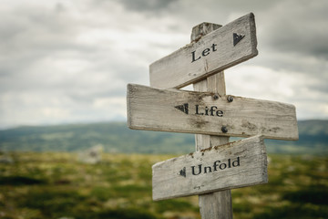 let life unfold text engraved on old wooden signpost outdoors in nature. Quotes, words and illustration concept