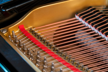 Grand Piano - Bass strings, dampers and tuning pins