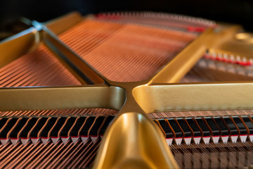 Grand Piano - Plate, dampers and strings