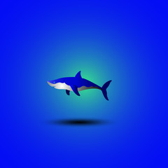Fototapeta premium Great white shark logo sign emblem vector illustration on blue background