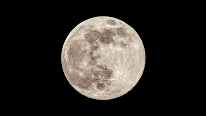 full white moon in the night sky