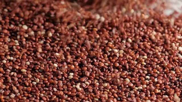 Red raw quinoa falling. Healthy and gluten free food background concept.