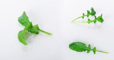fresh arugula leaf with dew drops isolated on a white background