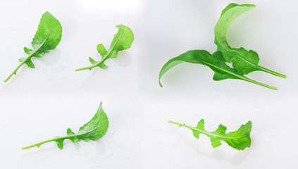 fresh arugula leaf with dew drops isolated on a white background