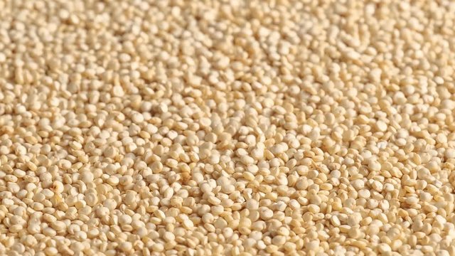 White raw quinoa rotating, South American grain. Healthy and gluten free food concept background.