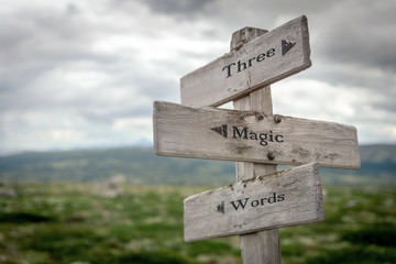 three magic words text engraved on old wooden signpost outdoors in nature. Quotes, words and illustration concept.