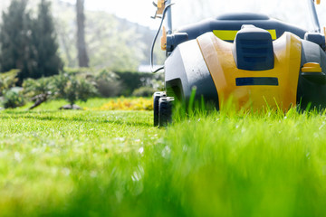 Summer and spring season sunny lawn mowing in the garden.  Selective focus image.