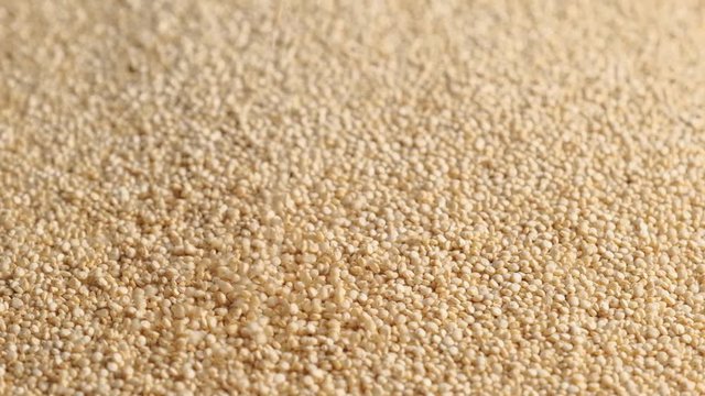 White raw quinoa rotating and falling, South American grain. Healthy and gluten free food concept background.