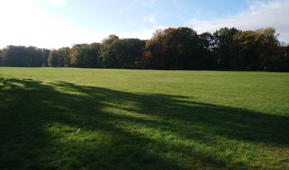 Green wide field in Treptower park in Berlin city