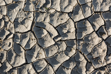 dry earth texture Cracked ground Dry cracked earth texture