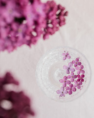 Obraz na płótnie Canvas Lilac petals in a glass on a white background