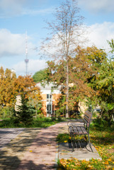 View of the square in autumn