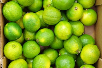 green limes background. Textures selective focus