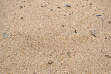 Background of fine river sand. Sand texture.