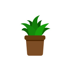 Aloe vera plant in pot vector icon