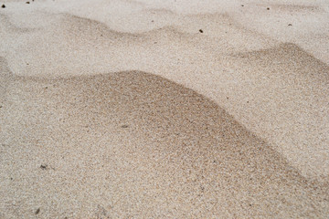 Background of fine river sand. Sand texture.
